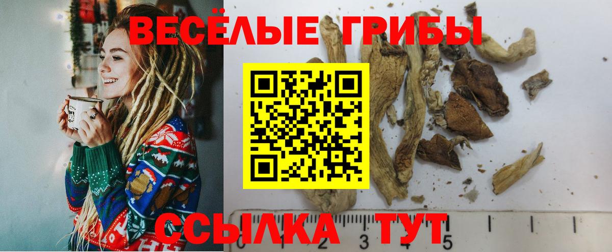 Псилоцибиновые грибы мицелий Ливны